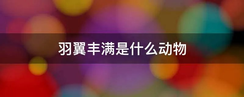 羽翼丰满是什么动物
