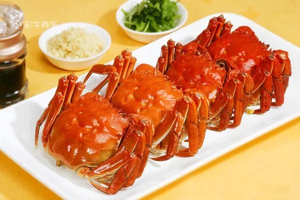 螃蟹怎么保存