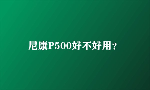 尼康P500好不好用？