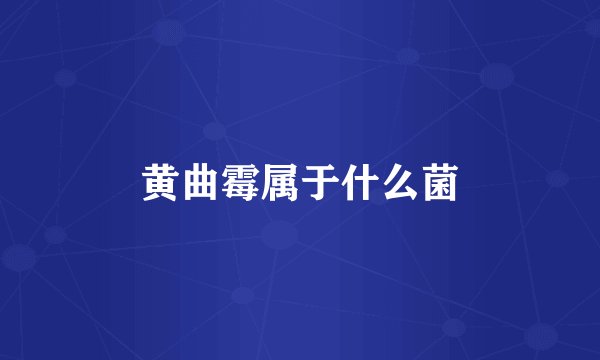 黄曲霉属于什么菌