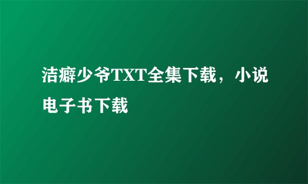 洁癖少爷TXT全集下载，小说电子书下载