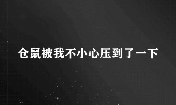 仓鼠被我不小心压到了一下