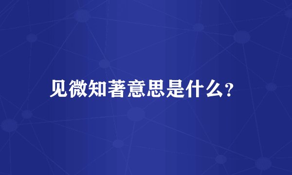 见微知著意思是什么？