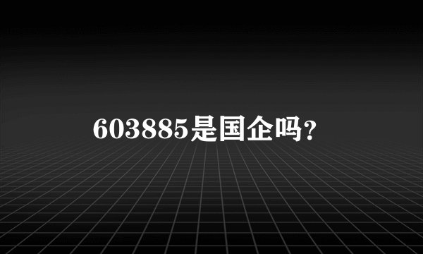 603885是国企吗？