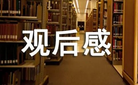 知危险会避险观后感