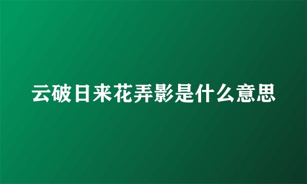 云破日来花弄影是什么意思