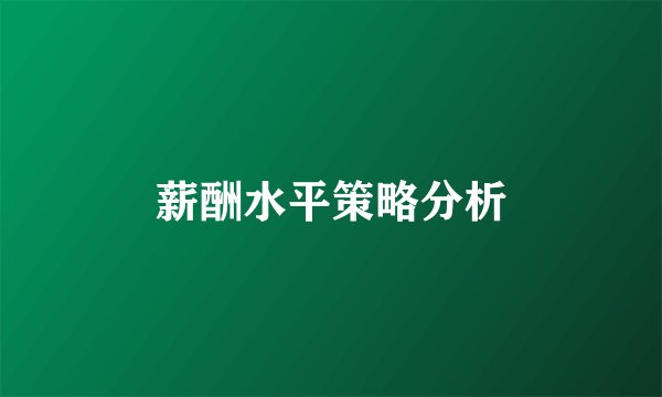 薪酬水平策略分析