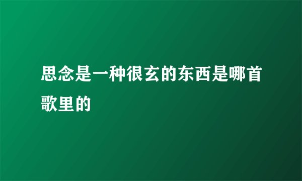 思念是一种很玄的东西是哪首歌里的