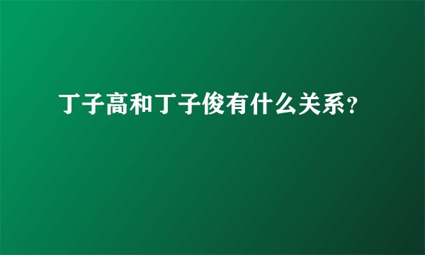 丁子高和丁子俊有什么关系？