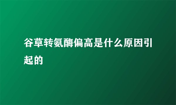 谷草转氨酶偏高是什么原因引起的