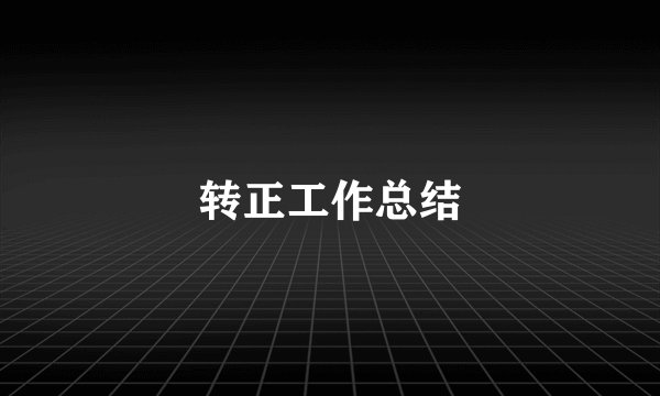 转正工作总结
