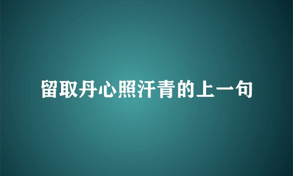 留取丹心照汗青的上一句