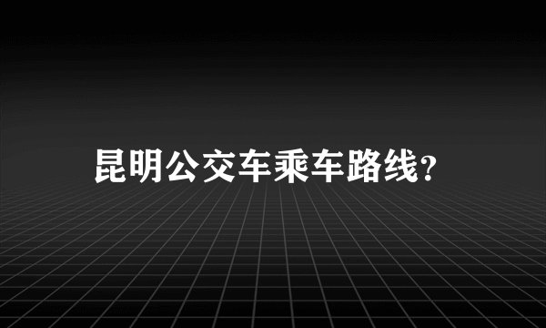 昆明公交车乘车路线？