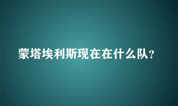 蒙塔埃利斯现在在什么队？