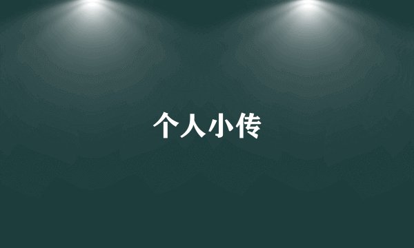 个人小传