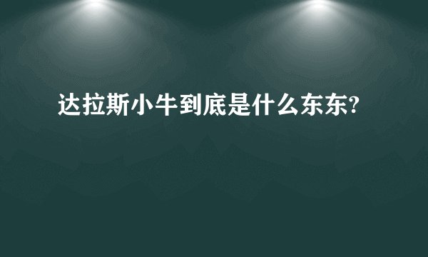 达拉斯小牛到底是什么东东?