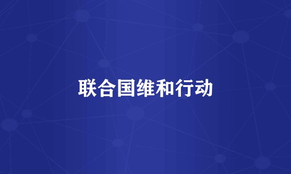 联合国维和行动