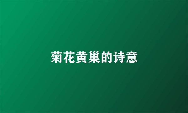 菊花黄巢的诗意