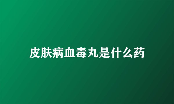 皮肤病血毒丸是什么药