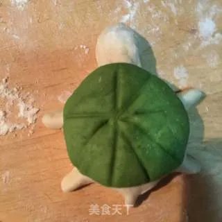 小乌龟