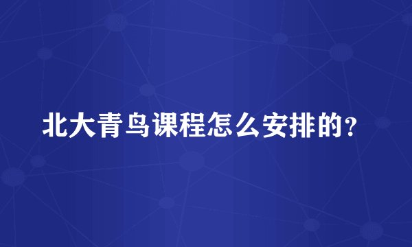 北大青鸟课程怎么安排的?