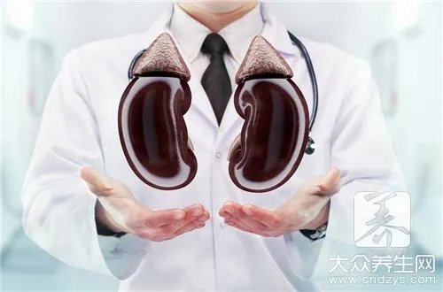 五脏六腑意思