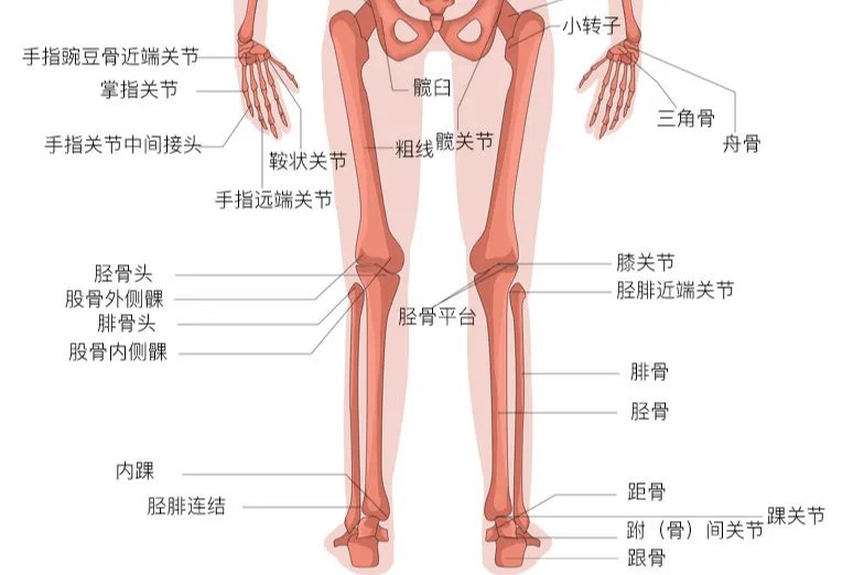 相关推荐