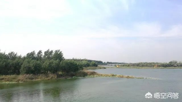 潍坊湿地公园在哪里?有多大?