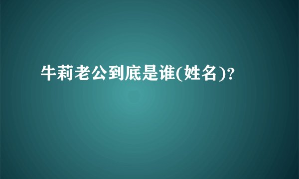 牛莉老公到底是谁(姓名)?