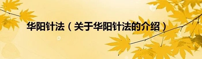 华阳针法（关于华阳针法的介绍）