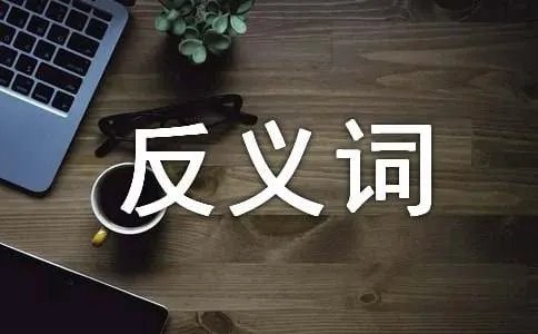 欢快反义词是什么