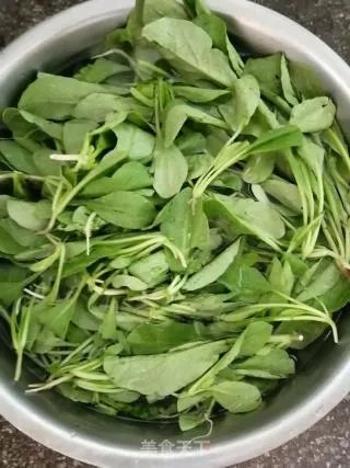 清淡萝卜青菜