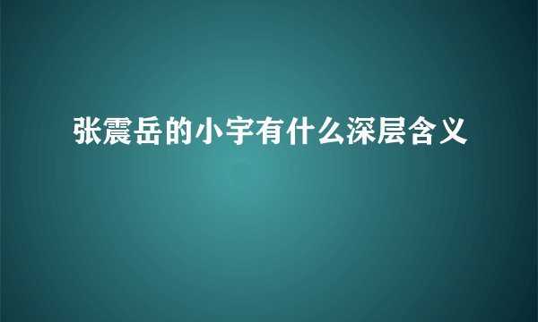 张震岳的小宇有什么深层含义