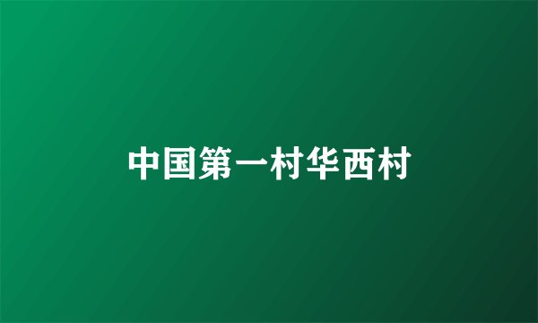 中国第一村华西村