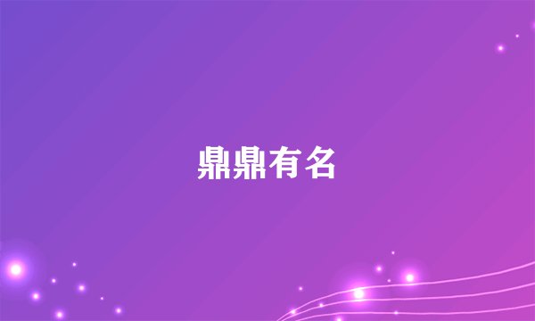 鼎鼎有名