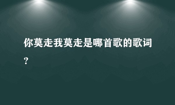 你莫走我莫走是哪首歌的歌词？