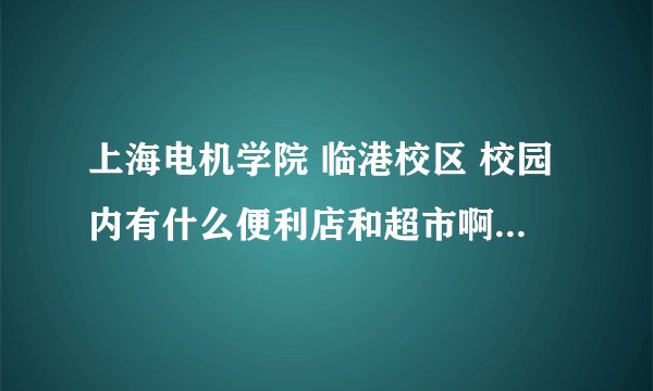 上海电机学院 临港校区 校园内有什么便利店和超市啊 上海海洋大学 临港校区