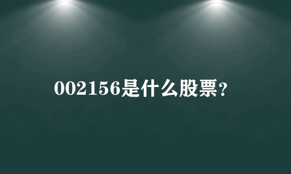 002156是什么股票？