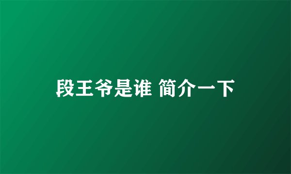 段王爷是谁 简介一下