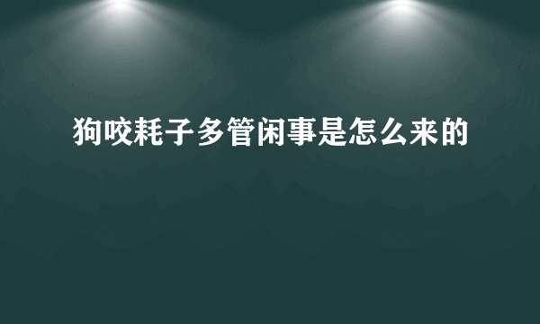 狗咬耗子多管闲事是怎么来的