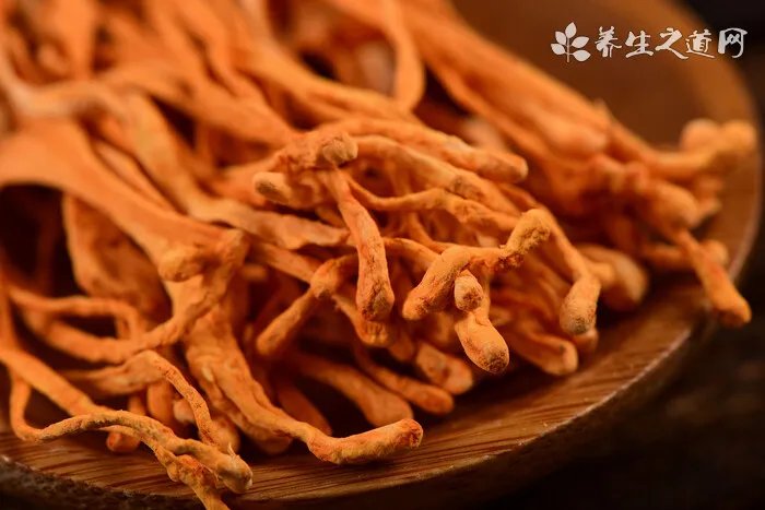青羊参