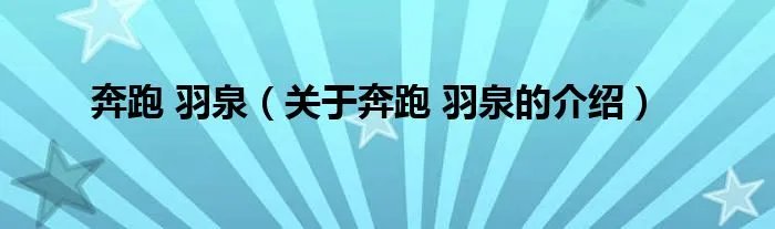 奔跑 羽泉（关于奔跑 羽泉的介绍）