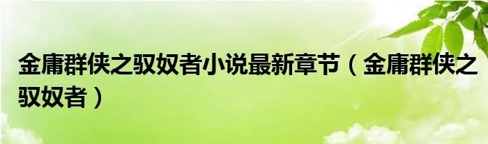 金庸群侠之驭奴者小说最新章节（金庸群侠之驭奴者）
