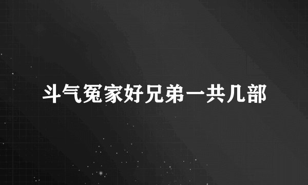 斗气冤家好兄弟一共几部