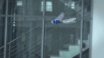 干掉人类的会是它们吗?2019全球最强9大超级仿生机械!