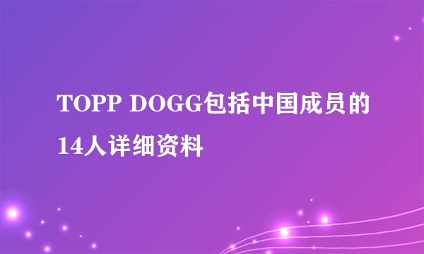 TOPP DOGG包括中国成员的14人详细资料