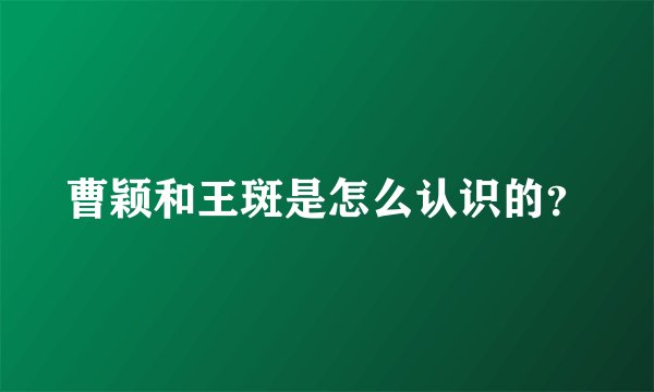 曹颖和王斑是怎么认识的？