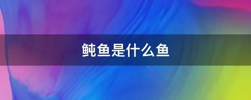 鲀鱼是什么鱼