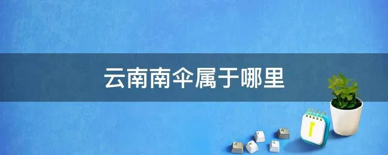 云南南伞属于哪里