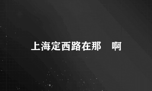 上海定西路在那裏啊